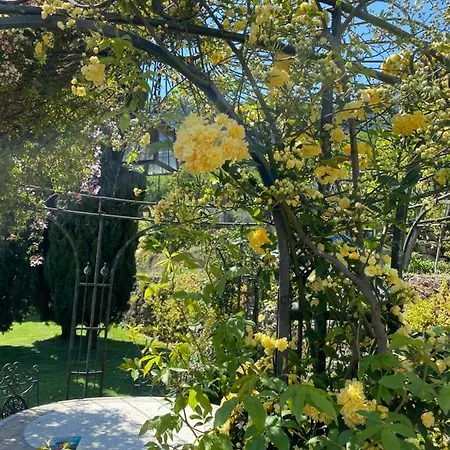 度假居 Casa Virginia 奥尔科费利诺