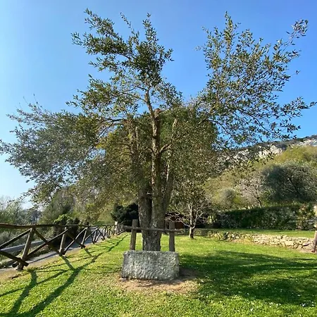 度假居 Casa Virginia *