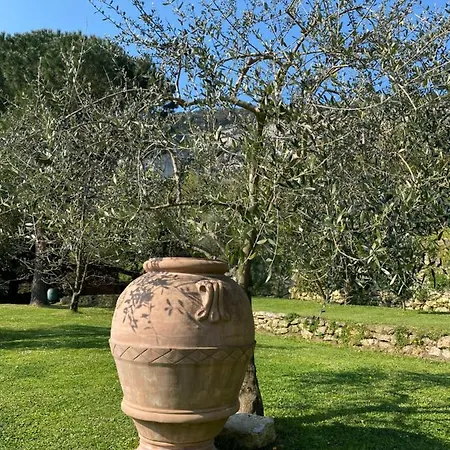 Casa Virginia * Orco Feglino