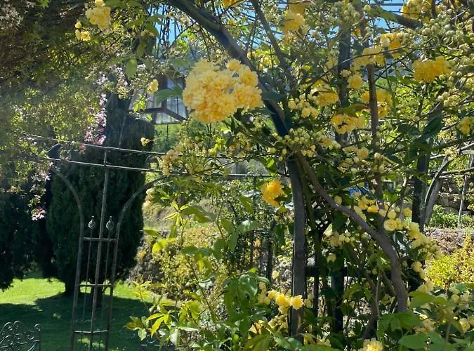 Сasa de vacaciones Casa Virginia Orco Feglino